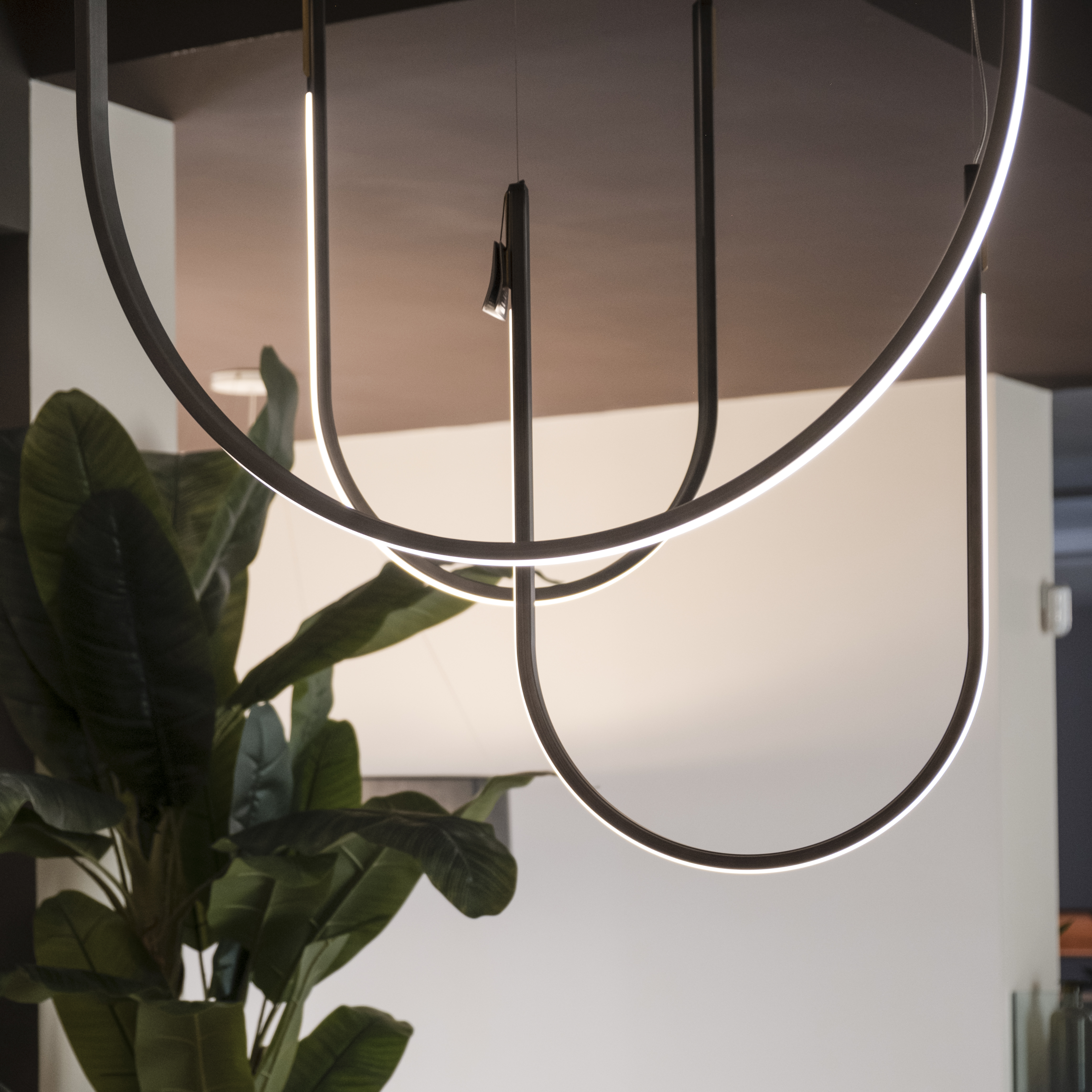 Showroom Cattelan 25